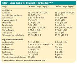 Learn Now With This Article On Infectious Disease By Dr Craig Datz