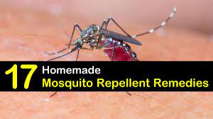 17 Simple Diy Mosquito Repellent Remedies