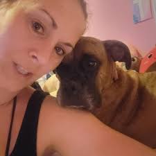 Beagle diagnosed with stage 3 lymphoma, given 3-4 months