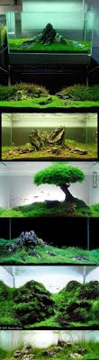 Minimalist Iwagumi Method Aquariums Aquarium Fish Tank Cool Fish Tanks
