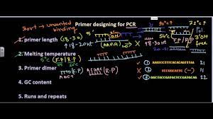 Primer Designing - Youtube