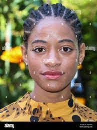 Lakisha Holt's Instagram, Twitter & Facebook