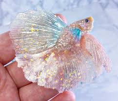 Select from distinct thailand betta fish at alibaba.com to enhance the aesthetic appearance of your interior decor. Polymer Clay Pastel Cotton Candy Betta Bettafish