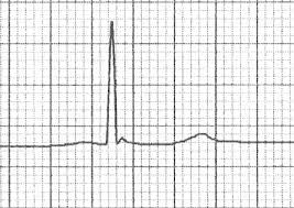 Image result for J Wave