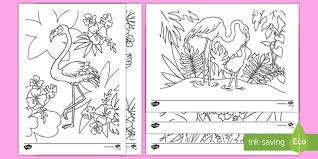 Flamingo coloring page to download and print. Flamingo Colouring Pictures Primary Resources