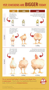 faster growing chicken vs slower growing chicken