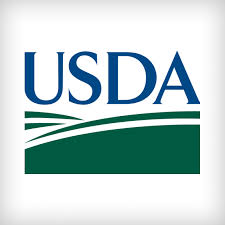 Logo Oficial USDA Business Loan USA