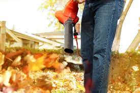 Leaf Clean Up Cost Leaf Removal Cost