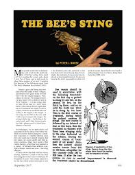 No matter where you stand on this issue, it's best to be prepared. Pdf The Bee S Sting