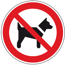 Vorsicht vor dem hund schild zum ausdrucken lustiges schild mit dem man vor einem hund warnen kann. Verbotsschild Mitfuhren Von Hunden Folie Selbstklebend O200mm Kroschke Com