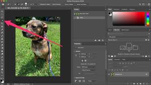 This package is designed to work with any php 7.0+ application but has special support for laravel. How To Remove A Background In Photoshop In 2 Ways
