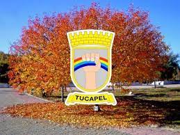 Check spelling or type a new query. I Municipalidad De Tucapel Home Facebook