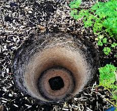 Arrosage Un Constat De Fin De Saison A Propos De L Usage Des Ollas Arrosage Jardin Arrosage Potager