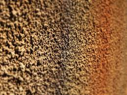 3 Easy Spray On Wall And Ceiling Textures