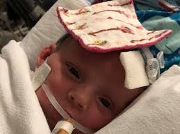 Fundraiser for Mary Brenner by James Murray : Payton Brenner