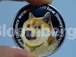 If you want to earn more money in less time, then you can invest in any of these dogecoin was primarily created as a joke but gained the use of communities on social networks like reddit, for shiba inu coin is a new coin in cryptocurrency market. Dogecoin Plunges After Rally Sparking Outcry On Reddit The Economic Times