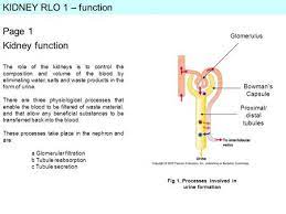 Pin On Genetics