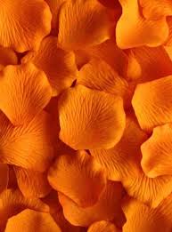 Black And Orange Wallpaper Aesthetic 6 Ways You Can Use Orange In Your Mid Century Decor This Summer Orange Wallpaper Orange Aesthetic Orange Color