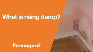 We've had it re roofed as it was required n was told would help with most of the damp problems. What Is Rising Damp How To Treat It