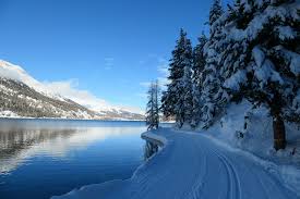 De skigebieden in zwitserland hebben het allemaal: Foto S Alpen Zwitserland Lake Silvaplana Winter Bergen Natuur Spar