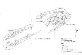 For example, according to t. 10 Feature 214 Showing Burial I0013 A 50 Year Old Male And Download Scientific Diagram