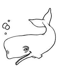 Check spelling or type a new query. Whale Coloring Page 1001coloring Com