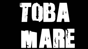 Basu si cu toba mare live delia feat adrian despot. Vita De Vie Basul Si Cu Toba Mare Lyrics Hd Youtube