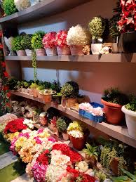 Shop online or find a store near you. This Flower Store Houses A Stunning Collection Of Artificial Flowers Lbb