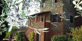 Tenuta San Vito At Montelupo Fiorentino Organic Vineyard Olive Grove Tuscan San Tuscany