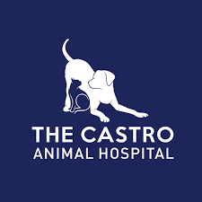 We did not find results for: Mission Pet Hospital Home Facebook