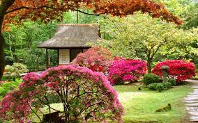 Jardin Japonais Japanese Garden Beautiful Flowers Garden Beautiful Gardens