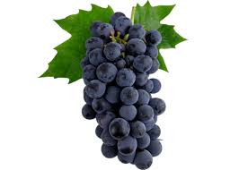 Grapes