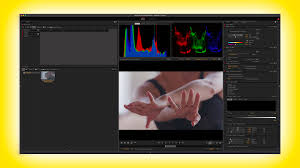 REDCINE-X Pro (Beta) Adds Nikon N-RAW Support | CineD