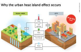 How Landscape Architecture Mitigates the Urban Heat Island Effect ...
