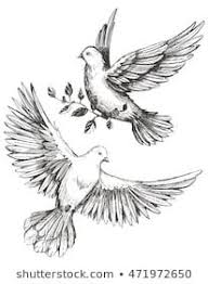 Black And White Pigeon Drawing Dove With Olive Brunches Sketch Vector Illustration Dove Drawing Dove Tattoo Bird Sketch