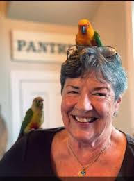 Donna Falcone's Instagram, Twitter & Facebook