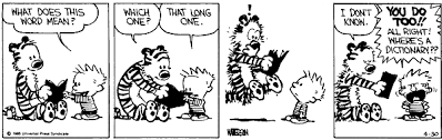 Calvin And Hobbes By Bill Watterson For June 13 2007 Gocomics Com Calvin And Hobbes Calvin And Hobbes Comics Calvin Und Hobbes