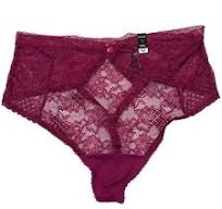 NWT TORRID High Waist Panties Underwear Sz 1X-2X-4X Pink Lace