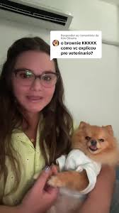 Respondendo a @Kim Oliveira explicando pra vcs a história do brownie  #spitzalemao #spitz #luludapomerania #petlife #petsoftiktokfunny #pet #fy  #amordepet #petfunnymoments #pets #petlover #petsoftiktok
