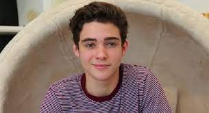 Joshua's patrilineal line can be traced to thomas joshua's paternal grandfather was jean j. 10 Things You Didn T Know About Joshua Bassett
