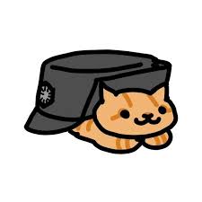 The Best Force Awakens Fan Fiction Yet General Hux S Pet Cat Liked On Polyvore Featuring Star Wars Filler A Star Wars Drawings Star Wars Art Star Wars Memes