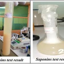 Image result for Polygala sadebeckiana