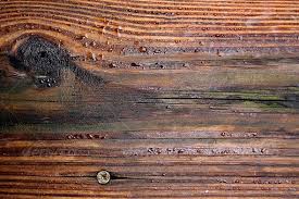 Wet Wood Background Wood Background Background Background Images Wallpapers