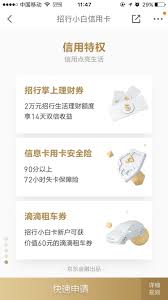 pin by lz lz on 3d应用活动 web design app cards