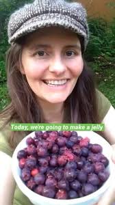 Can Saskatoon berries be used instead of pectin in jam recipes?