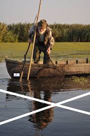 Excursii in delta dunarii cu plecare din murighiol. Excursie Delta Dunarii 8 Puncte De Atractie De Neratat Etalon Travel