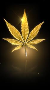 12+ weeds wallpaper is in the nature & landscape. Marijuana Live Wallpaper Free For Android Apk Download