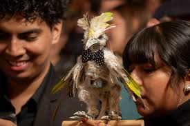 Y quiénes fueron los ganadores del Animal Film Fest?