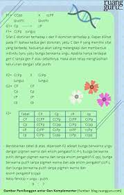 Maybe you would like to learn more about one of these? 5 Genetika Mendel Belajar Biologi Bersama Bu Hesti