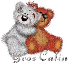 Gros Câlin #calins gros calin ours | Gros calin, Image calin, Calin